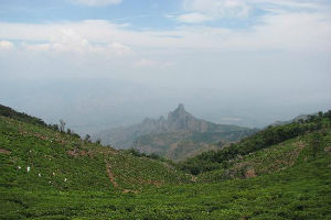 kodanad-view-point